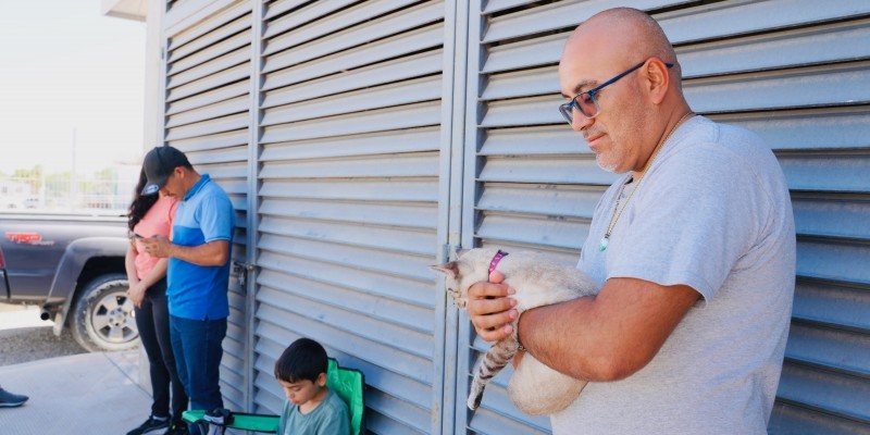 Arranca Salud Pública nueva jornada gratuita de esterilización para mascotas